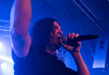 Hedera - Photo by Nati