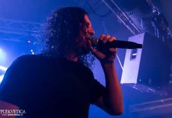 Hedera - Photo by Nati