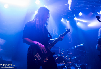 Hedera - Photo by Nati