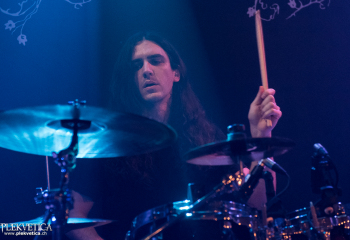 Hedera - Photo by Nati