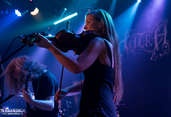 Hedera - Photo by Nati