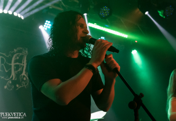 Hedera - Photo by Nati