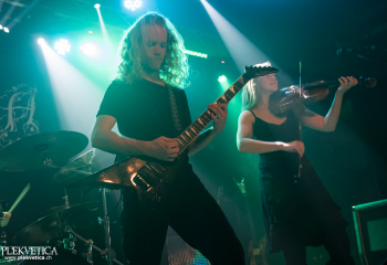 Hedera - Photo by Nati