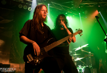 Hedera - Photo by Nati