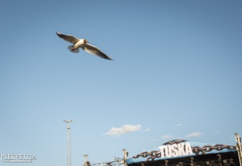 Impressionen - Photo By Dänu