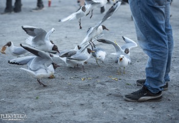 Impressionen - Photo By Dänu