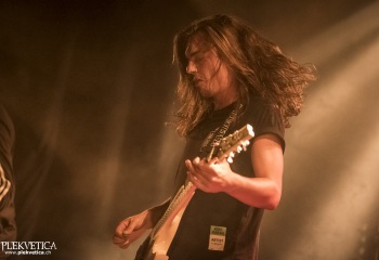 Insanity - Photo By Dänu