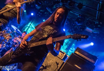 Izegrim - Photo by Marc