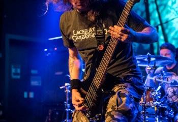 Izegrim - Photo by Marc