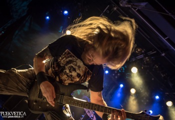 Izegrim - Photo by Marc