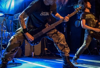 Izegrim - Photo by Marc