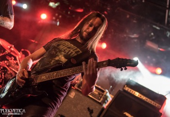 Izegrim - Photo by Marc