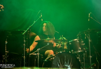King Creature - Photo by Marc