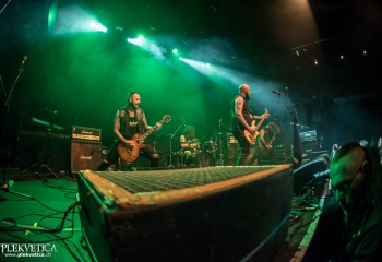 King Creature - Photo by Marc