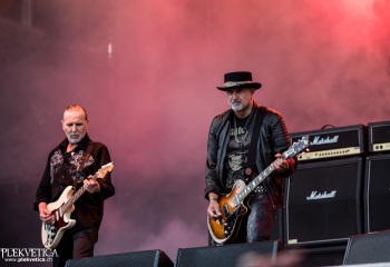 Krokus - Photo by Marc