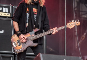 Krokus - Photo by Marc