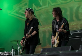 Krokus - Photo by Marc