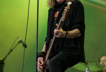 Krokus - Photo by Marc