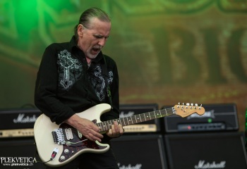 Krokus - Photo by Marc