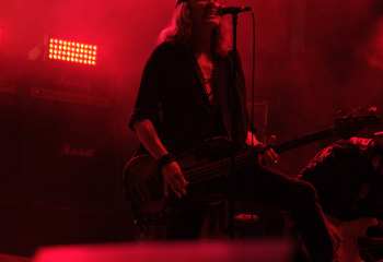 Krokus -  Photo By Peti