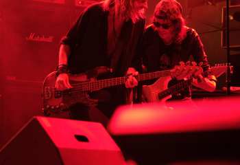 Krokus -  Photo By Peti