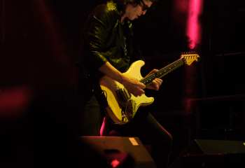 Krokus -  Photo By Peti