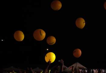 Krokus -  Photo By Peti