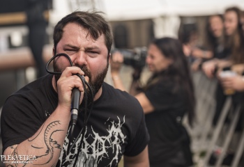 Lotrify - Photo By Dänu