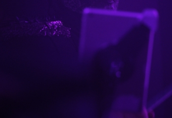 Massive Ego -  Photo By Peti