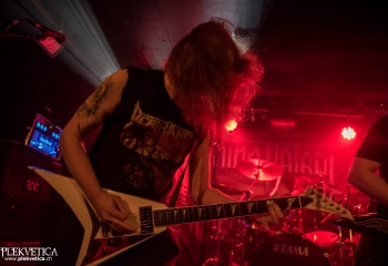 Mind Patrol - Photo By Marc