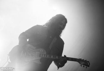 Monkey3 - Photo by Eylül