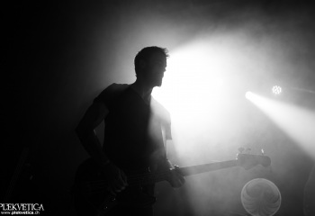 Monkey3 - Photo by Eylül