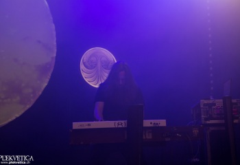 Monkey3 - Photo by Eylül