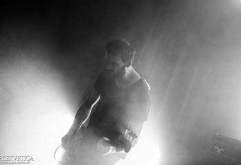 Monkey3 - Photo by Eylül