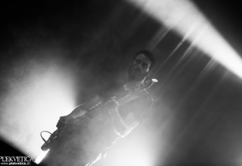 Monkey3 - Photo by Eylül