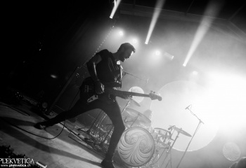 Monkey3 - Photo by Eylül