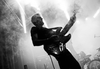 Monkey3 - Photo by Eylül