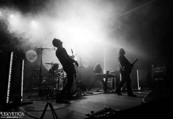 Monkey3 - Photo by Eylül