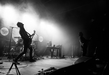 Monkey3 - Photo by Eylül