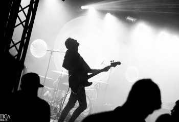 Monkey3 - Photo by Eylül