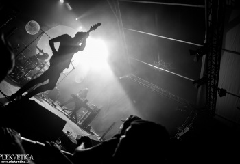 Monkey3 - Photo by Eylül