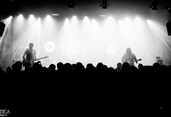 Monkey3 - Photo by Eylül