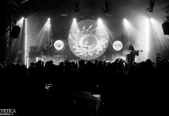 Monkey3 - Photo by Eylül