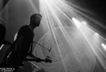 Monkey3 - Photo by Eylül