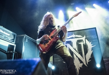 Nailed to Obscurity - Photo By Dänu