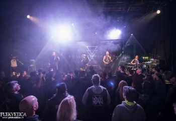 No Sleep For Lucy - Photo By Dänu