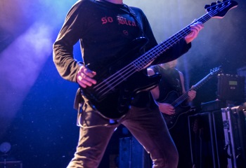 Our Hollow, Our Home - Photo By Marc