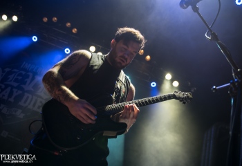 Our Hollow, Our Home - Photo By Marc