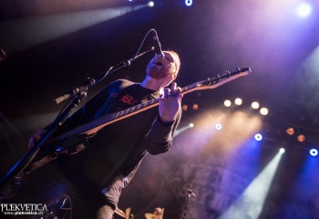 Our Hollow, Our Home - Photo By Marc