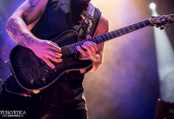 Our Hollow, Our Home - Photo By Marc